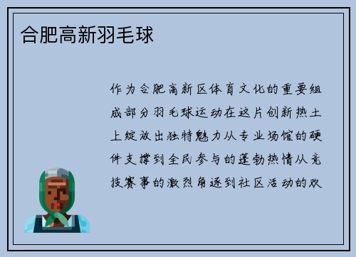 合肥高新羽毛球
